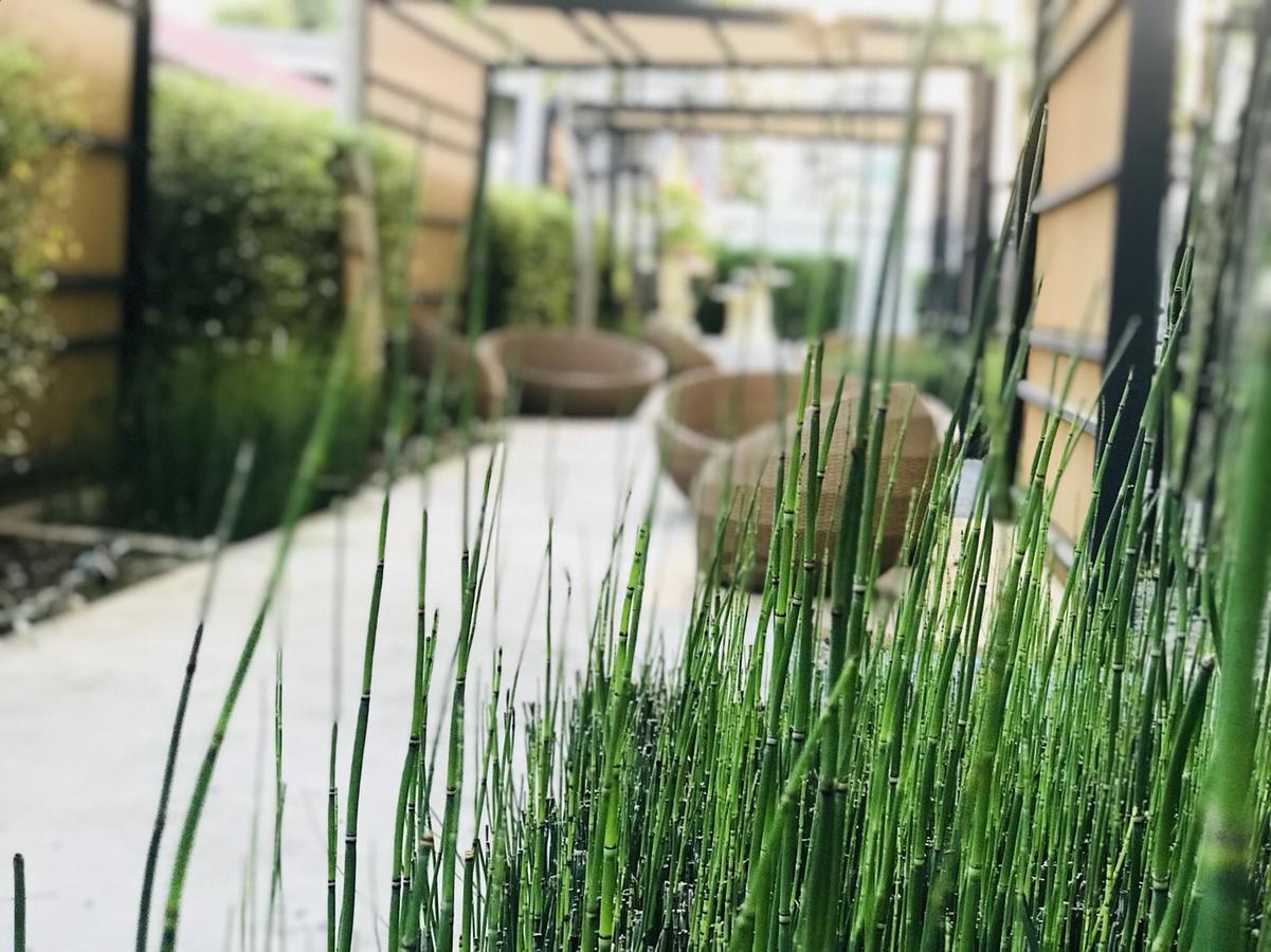 Astra Suites Central Τσιάνγκ Μάι Εξωτερικό φωτογραφία